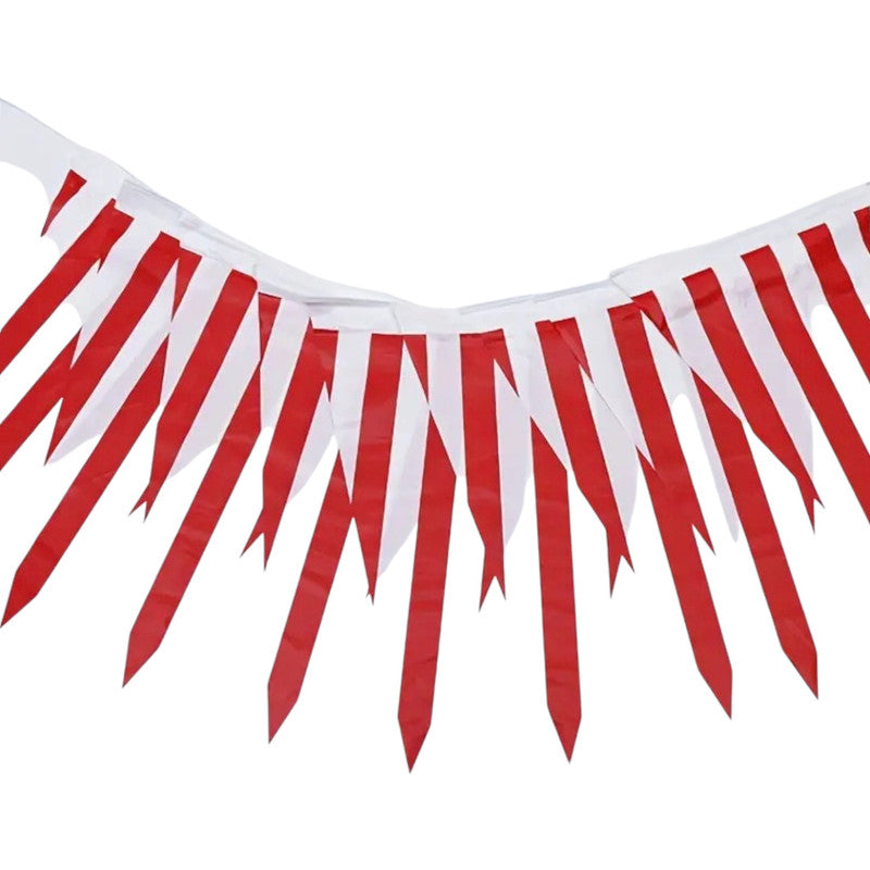 Carnival - Triangular banner