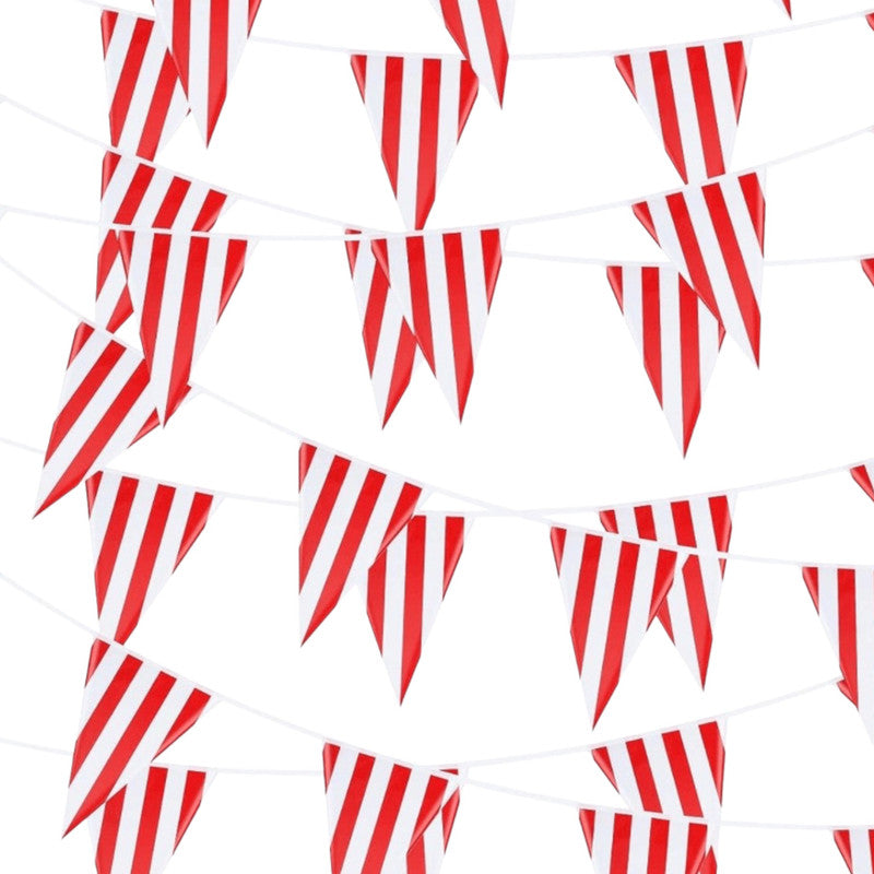 Carnival - Triangular banner